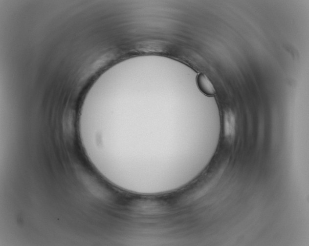 X0000114230300200910231509
