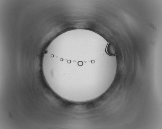 X0000114230303200910231509