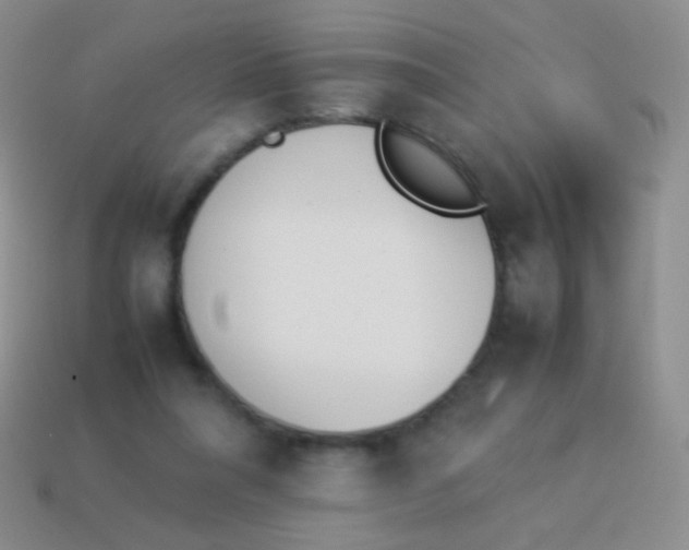 X0000114230304200910231509
