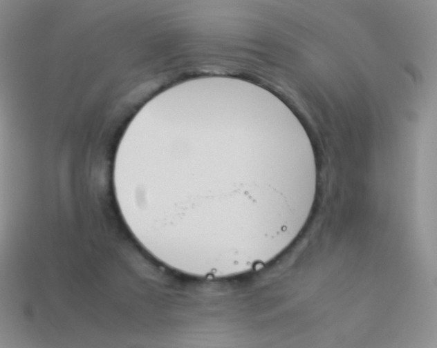 X0000114230305200910231509