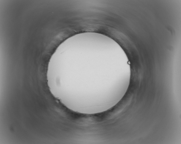 X0000114230307200910231509