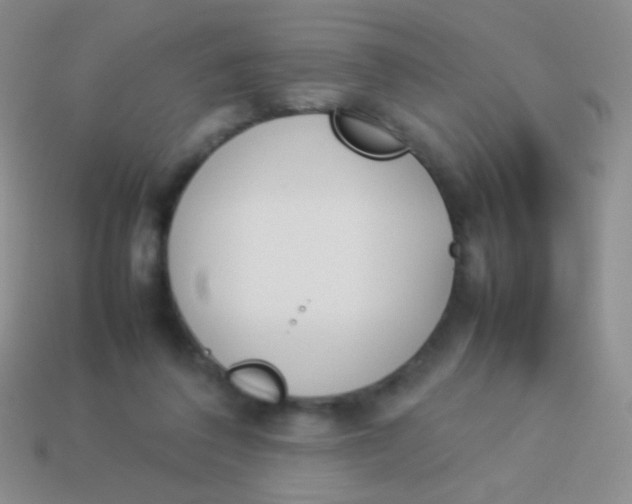 X0000114230308200910231509