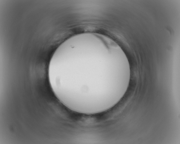 X0000114230311200910231509