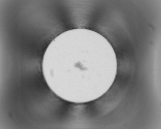 X0000114230313200910231509