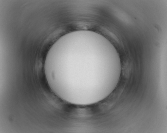 X0000114230314200910231509