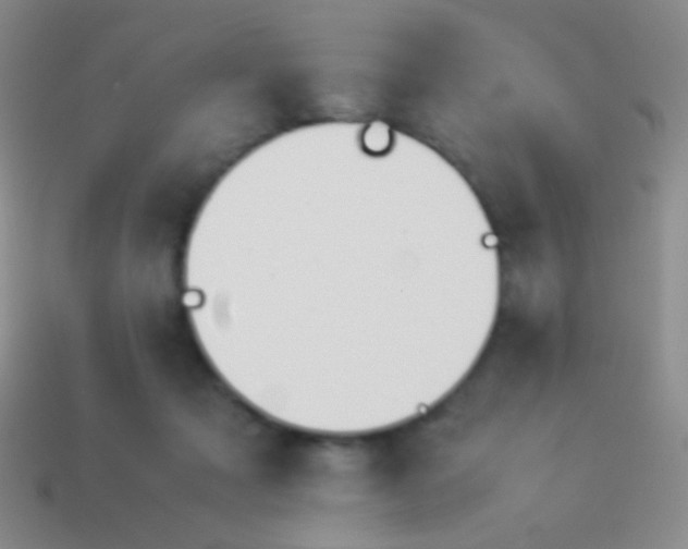 X0000114230317200910231509