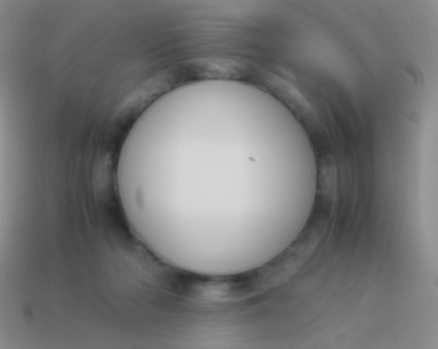 X0000114230318200910231509