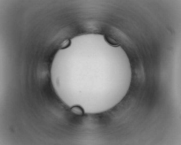 X0000114230320200910231509