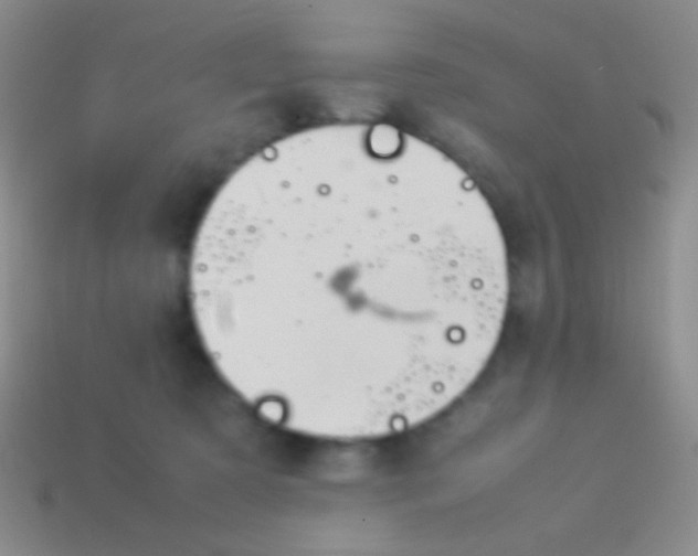 X0000114230321200910231509