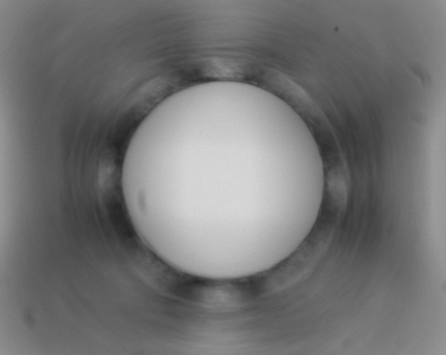 X0000114230322200910231509