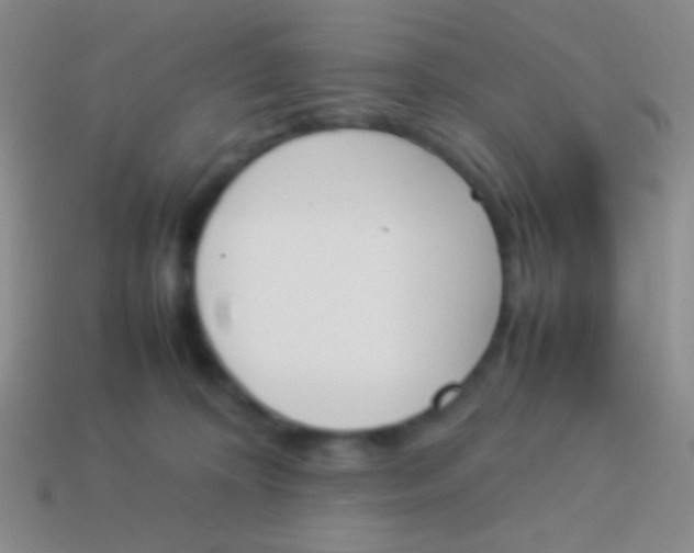 X0000114230324200910231509