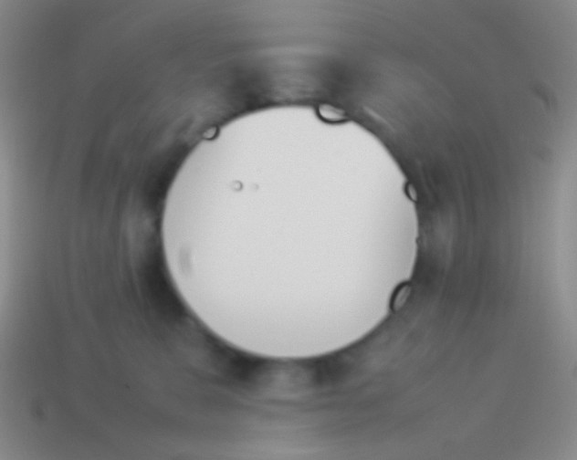 X0000114230327200910231509