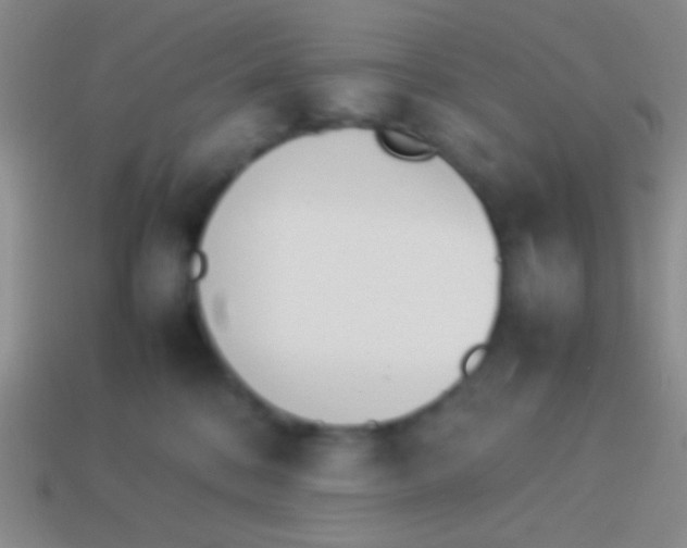 X0000114230328200910231509