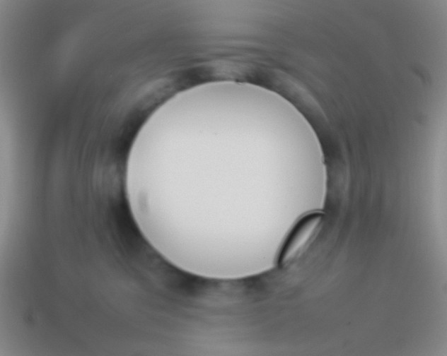 X0000114230329200910231509