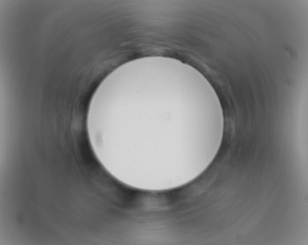 X0000114230331200910231509
