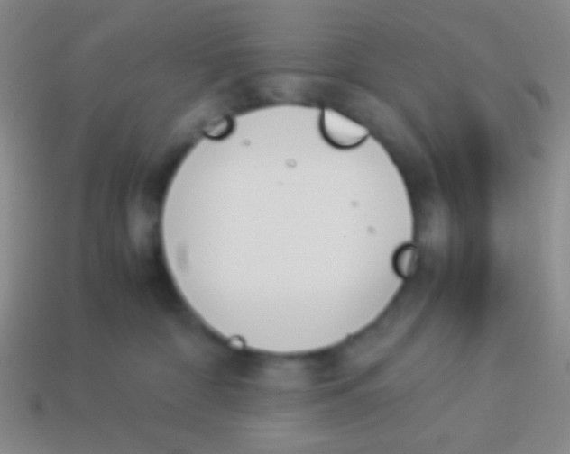 X0000114230332200910231509