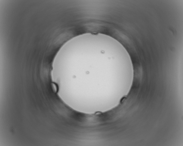 X0000114230333200910231509
