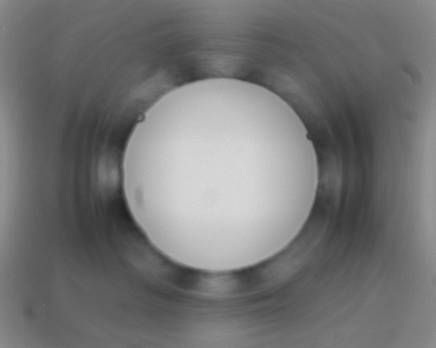 X0000114230334200910231509