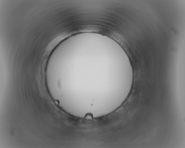 X0000114230337200910231508