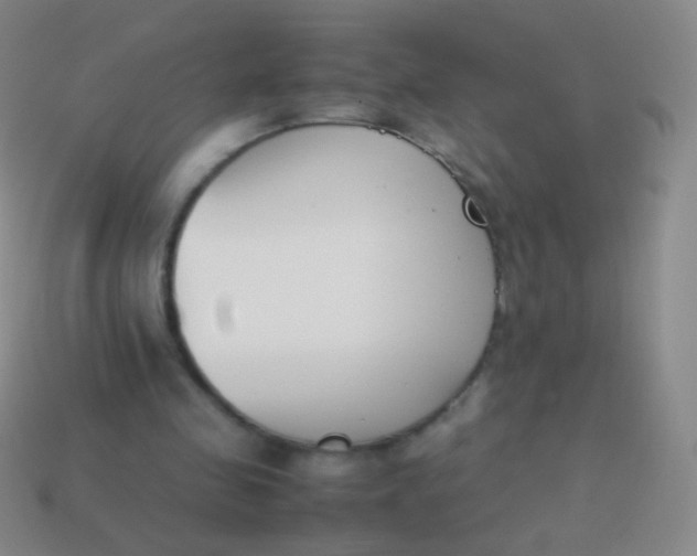 X0000114230341200910231508