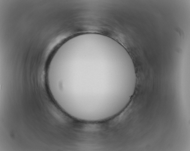X0000114230342200910231508