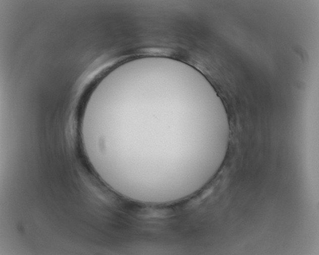 X0000114230343200910231508