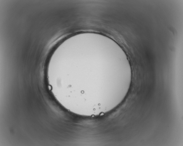 X0000114230344200910231508