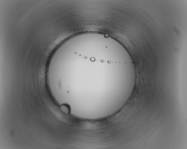 X0000114230346200910231508