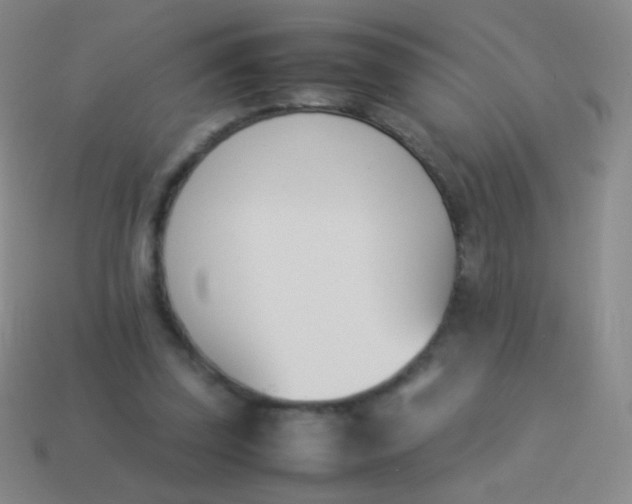 X0000114230347200910231508