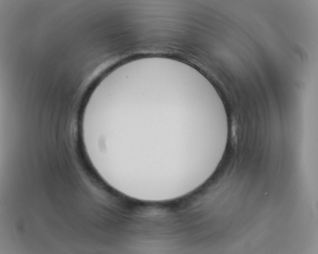 X0000114230348200910231508