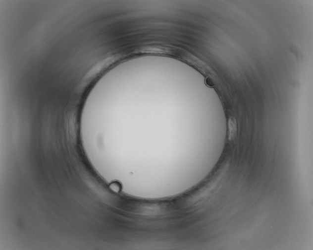 X0000114230349200910231508