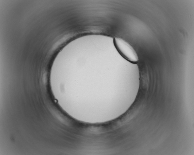 X0000114230350200910231508