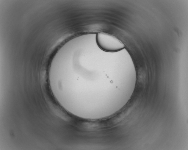 X0000114230351200910231508