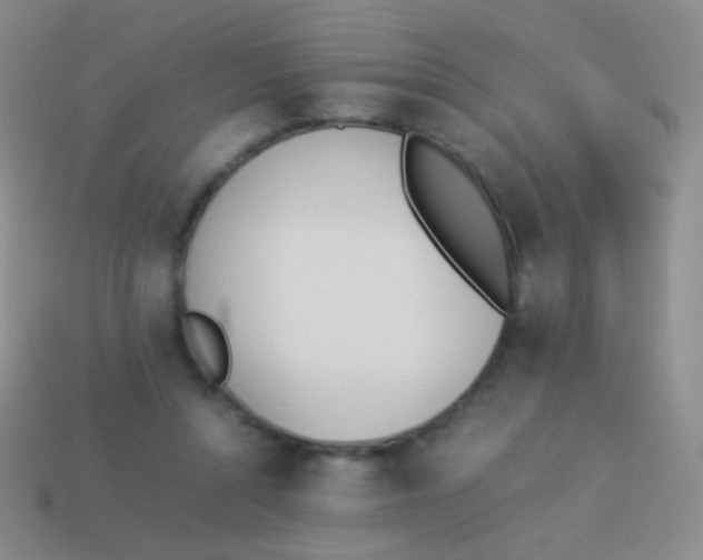 X0000114230352200910231508