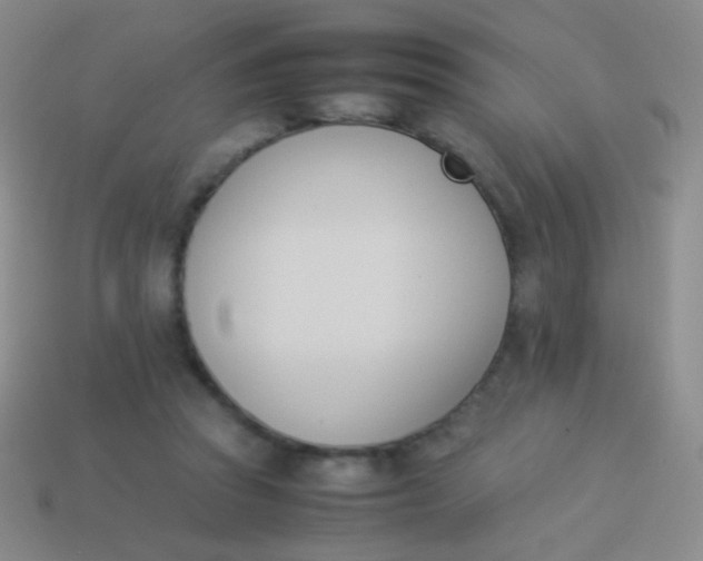 X0000114230353200910231508