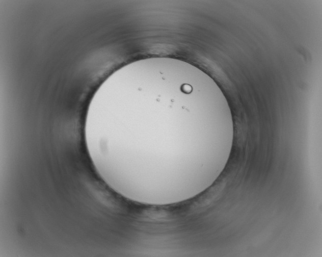 X0000114230354200910231508