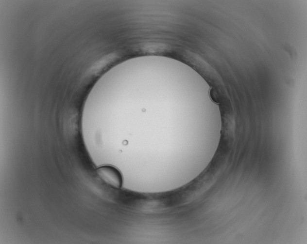 X0000114230356200910231508