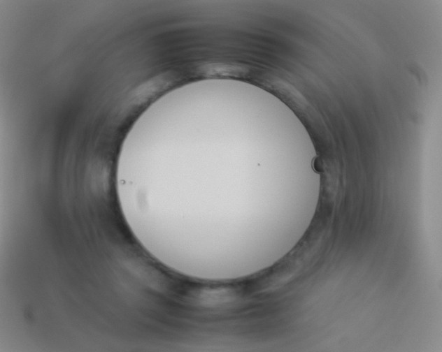 X0000114230357200910231508