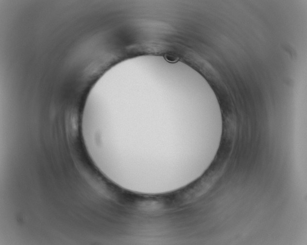 X0000114230358200910231508