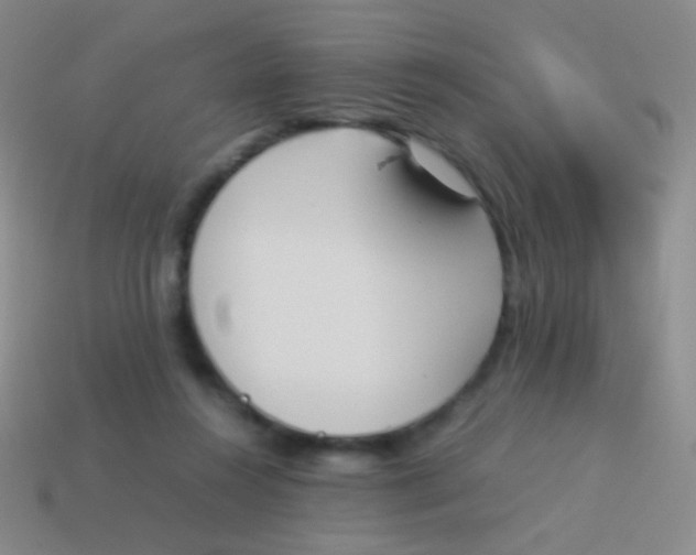 X0000114230360200910231508