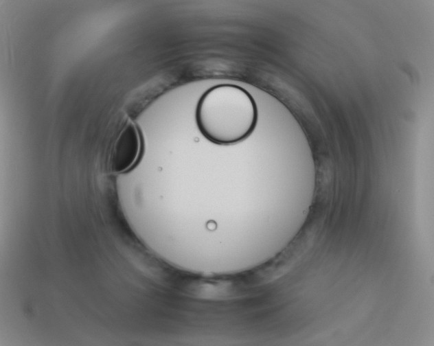 X0000114230361200910231508
