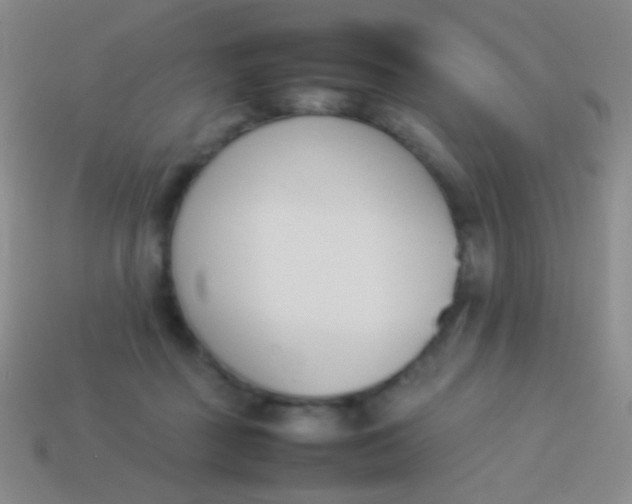 X0000114230363200910231508