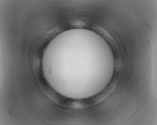 X0000114230365200910231508