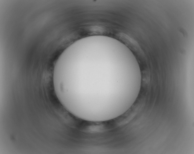 X0000114230369200910231508