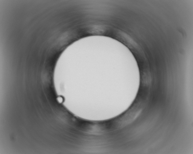 X0000114230370200910231508
