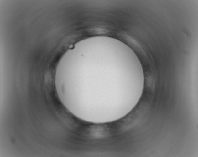 X0000114230373200910231508