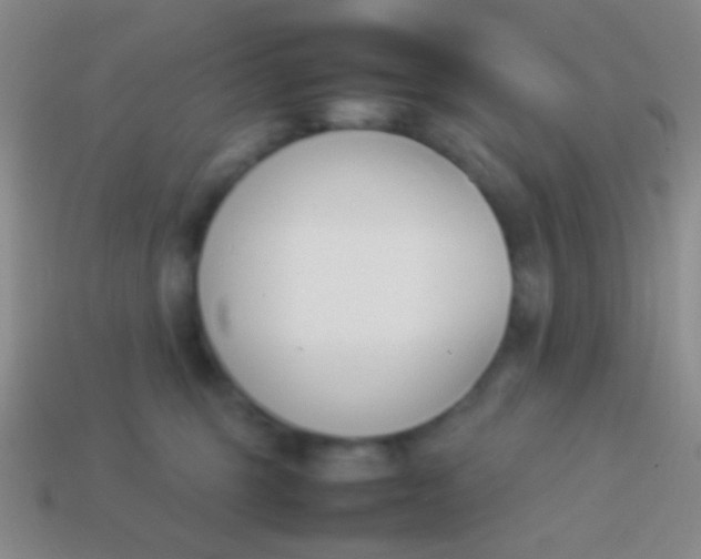 X0000114230375200910231508