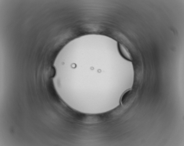 X0000114230376200910231508