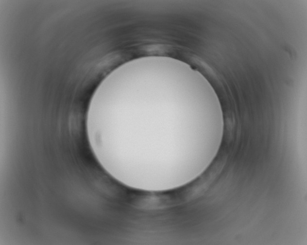 X0000114230379200910231508