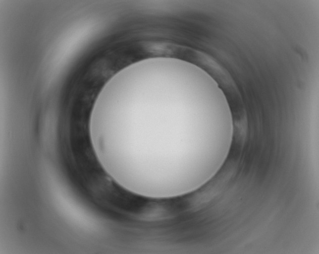 X0000114230381200910231508
